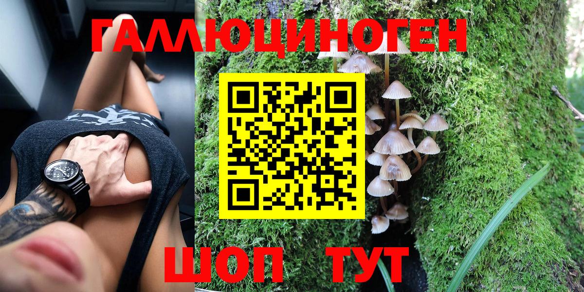 Псилоцибиновые грибы MAGIC MUSHROOMS  Вход с VPN  Сергиев Посад 