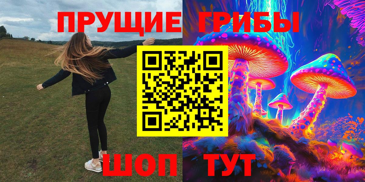 Галлюциногенные грибы прущие грибы Сергиев Посад